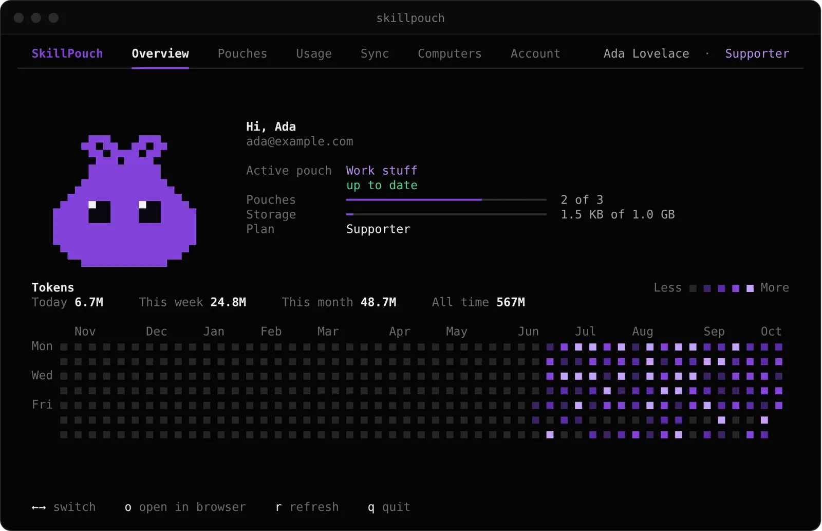SkillPouch terminal dashboard on the Overview tab, showing the active pouch marked up to date, storage and plan, and a token usage heatmap